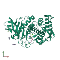 PDB entry 6d5q coloured by chain, front view.