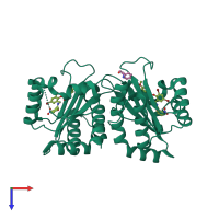 Homo dimeric assembly 1 of PDB entry 6d6n coloured by chemically distinct molecules, top view.