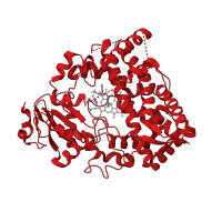 The deposited structure of PDB entry 6daa contains 1 copy of CATH domain 1.10.630.10 (Cytochrome p450) in Cytochrome P450 3A4. Showing 1 copy in chain A.