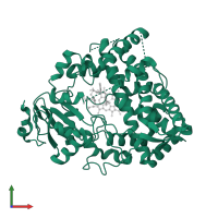 Cytochrome P450 3A4 in PDB entry 6daa, assembly 1, front view.