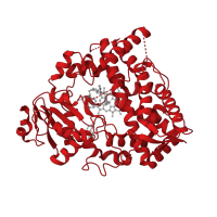 The deposited structure of PDB entry 6daj contains 1 copy of CATH domain 1.10.630.10 (Cytochrome p450) in Cytochrome P450 3A4. Showing 1 copy in chain A.