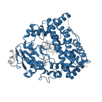 The deposited structure of PDB entry 6daj contains 1 copy of Pfam domain PF00067 (Cytochrome P450) in Cytochrome P450 3A4. Showing 1 copy in chain A.