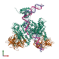 Hetero hexameric assembly 1 of PDB entry 6dbw coloured by chemically distinct molecules, front view.