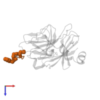 WDINNN(BAL) cyclic peptide inhibitor in PDB entry 6dn5, assembly 1, top view.