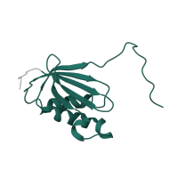 The deposited structure of PDB entry 6dnc contains 1 copy of Pfam domain PF00411 (Ribosomal protein S11) in Small ribosomal subunit protein uS11. Showing 1 copy in chain WA [auth XA].