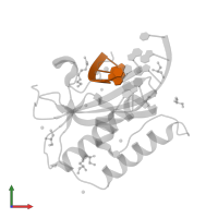 5'-R(*AP*CP*AP*U)-3' portion of cleaved RNA 5'-R(*AP*CP*AP*UP*CP*G)-3' in PDB entry 6doo, assembly 1, front view.