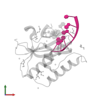 DNA (5'-D(*CP*GP*AP*TP*GP*T)-3') in PDB entry 6doo, assembly 1, front view.