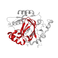 The deposited structure of PDB entry 6dqe contains 1 copy of Pfam domain PF02373 (JmjC domain, hydroxylase) in Lysine-specific demethylase 5A. Showing 1 copy in chain A.