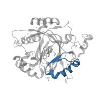 The deposited structure of PDB entry 6dqe contains 1 copy of Pfam domain PF02375 (jmjN domain) in Lysine-specific demethylase 5A. Showing 1 copy in chain A.