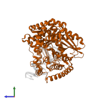 DNA polymerase I in PDB entry 6dsv, assembly 1, side view.