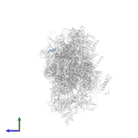 50S ribosomal protein L31 in PDB entry 6dzk, assembly 1, side view.