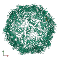 Homo 60-meric assembly 1 of PDB entry 6e2z coloured by chemically distinct molecules, front view.