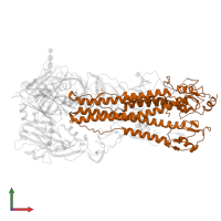 Hemagglutinin HA2 chain in PDB entry 6e7h, assembly 1, front view.