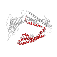 The deposited structure of PDB entry 6e7z contains 4 copies of Pfam domain PF08016 (Polycystin cation channel) in Mucolipin-1. Showing 1 copy in chain A.
