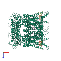 Homo tetrameric assembly 1 of PDB entry 6e7z coloured by chemically distinct molecules, top view.