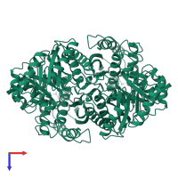 Enolase 1 in PDB entry 6enl, assembly 1, top view.