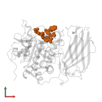 HY1-LLI-VAL-ARG-00S in PDB entry 6eqv, assembly 1, front view.