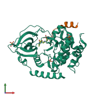 PDB entry 6ert coloured by chain, front view.