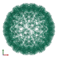 Major capsid protein VP1 in PDB entry 6esb, assembly 1, front view.