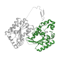 The deposited structure of PDB entry 6etj contains 1 copy of Pfam domain PF00300 (Histidine phosphatase superfamily (branch 1)) in 6-phosphofructo-2-kinase/fructose-2,6-bisphosphatase 3. Showing 1 copy in chain A.