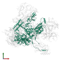 DNA-directed RNA polymerase III subunit RPC1 in PDB entry 6eu2, assembly 1, front view.