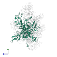 DNA-directed RNA polymerase III subunit RPC1 in PDB entry 6eu2, assembly 1, side view.