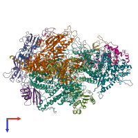 Hetero 17-meric assembly 1 of PDB entry 6eu3 coloured by chemically distinct molecules, top view.