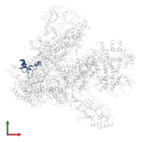 DNA-directed RNA polymerases I, II, and III subunit RPABC5 in PDB entry 6eu3, assembly 1, front view.