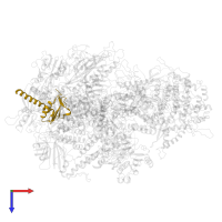 DNA-directed RNA polymerases I and III subunit RPAC2 in PDB entry 6eu3, assembly 1, top view.