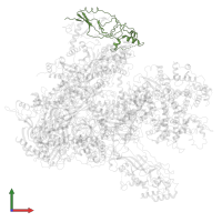 DNA-directed RNA polymerase III subunit RPC5 in PDB entry 6eu3, assembly 1, front view.