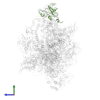 DNA-directed RNA polymerase III subunit RPC5 in PDB entry 6eu3, assembly 1, side view.