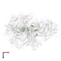 DNA-directed RNA polymerase III subunit RPC5 in PDB entry 6eu3, assembly 1, top view.