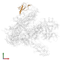 DNA-directed RNA polymerase III subunit RPC4 in PDB entry 6eu3, assembly 1, front view.