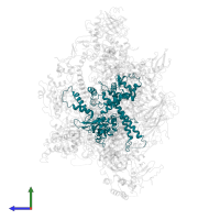 DNA-directed RNA polymerase III subunit RPC3 in PDB entry 6eu3, assembly 1, side view.