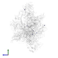 ZINC ION in PDB entry 6eu3, assembly 1, side view.
