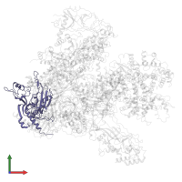 DNA-directed RNA polymerases I and III subunit RPAC1 in PDB entry 6eu3, assembly 1, front view.