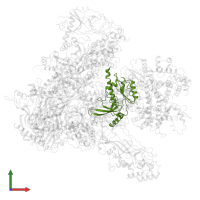 DNA-directed RNA polymerases I, II, and III subunit RPABC1 in PDB entry 6eu3, assembly 1, front view.