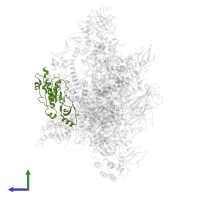 DNA-directed RNA polymerases I, II, and III subunit RPABC1 in PDB entry 6eu3, assembly 1, side view.