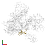 DNA-directed RNA polymerases I, II, and III subunit RPABC2 in PDB entry 6eu3, assembly 1, front view.