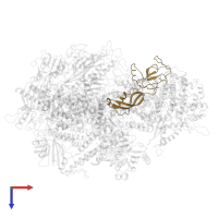 DNA-directed RNA polymerase III subunit RPC8 in PDB entry 6eu3, assembly 1, top view.