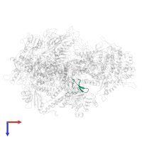 DNA-directed RNA polymerase III subunit RPC10 in PDB entry 6eu3, assembly 1, top view.