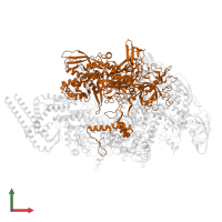 DNA-directed RNA polymerase subunit beta in PDB entry 6eyd, assembly 1, front view.