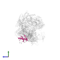 DNA-directed RNA polymerase subunit omega in PDB entry 6eyd, assembly 1, side view.