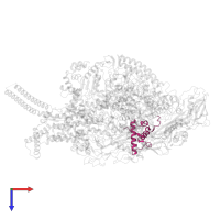 DNA-directed RNA polymerase subunit omega in PDB entry 6eyd, assembly 1, top view.