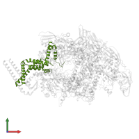 RNA polymerase sigma factor SigA in PDB entry 6eyd, assembly 1, front view.