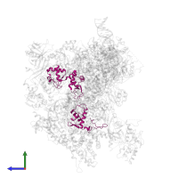 DNA-directed RNA polymerase III subunit RPC6 in PDB entry 6f41, assembly 1, side view.