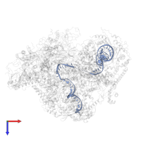 Template-DNA in PDB entry 6f41, assembly 1, top view.