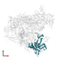 DNA-directed RNA polymerase III subunit RPC3 in PDB entry 6f42, assembly 1, front view.