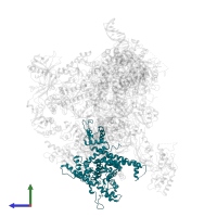 DNA-directed RNA polymerase III subunit RPC3 in PDB entry 6f42, assembly 1, side view.