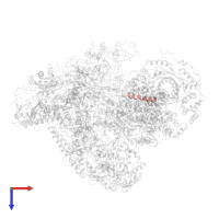 DNA-directed RNA polymerase III subunit RPC7 in PDB entry 6f42, assembly 1, top view.